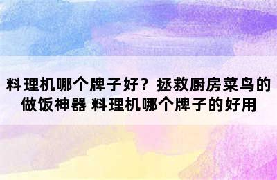 料理机哪个牌子好？拯救厨房菜鸟的做饭神器 料理机哪个牌子的好用